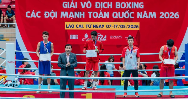 Tải app 33WIN