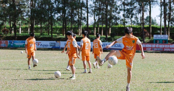 33WIN tài xỉu